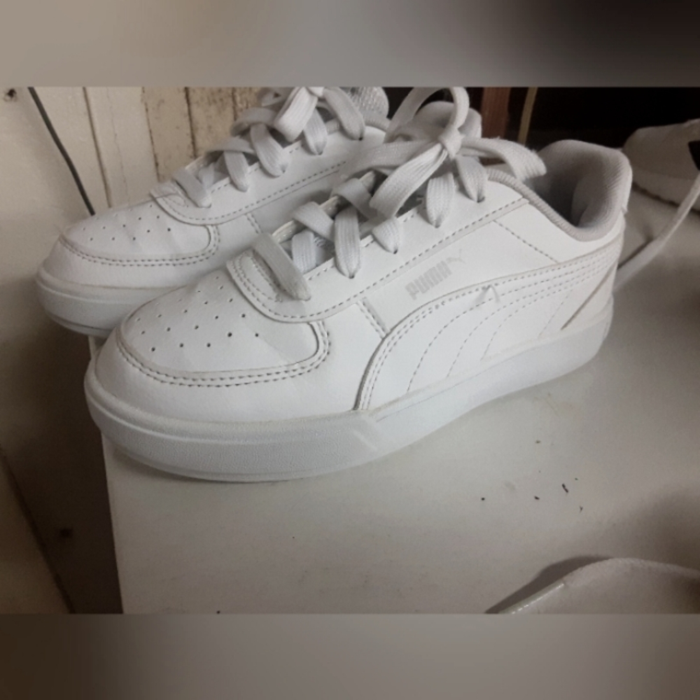 Size 13 pumas